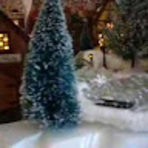 Meet your Posher, Victoria